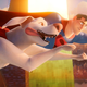 DC League Of Super-Pets